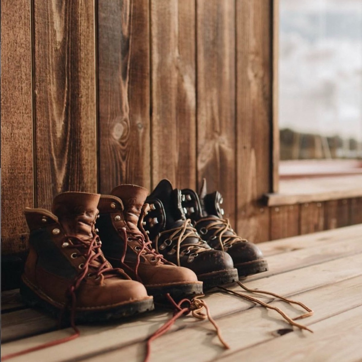 Danner Mountain Light Gore-Tex Boot Brown