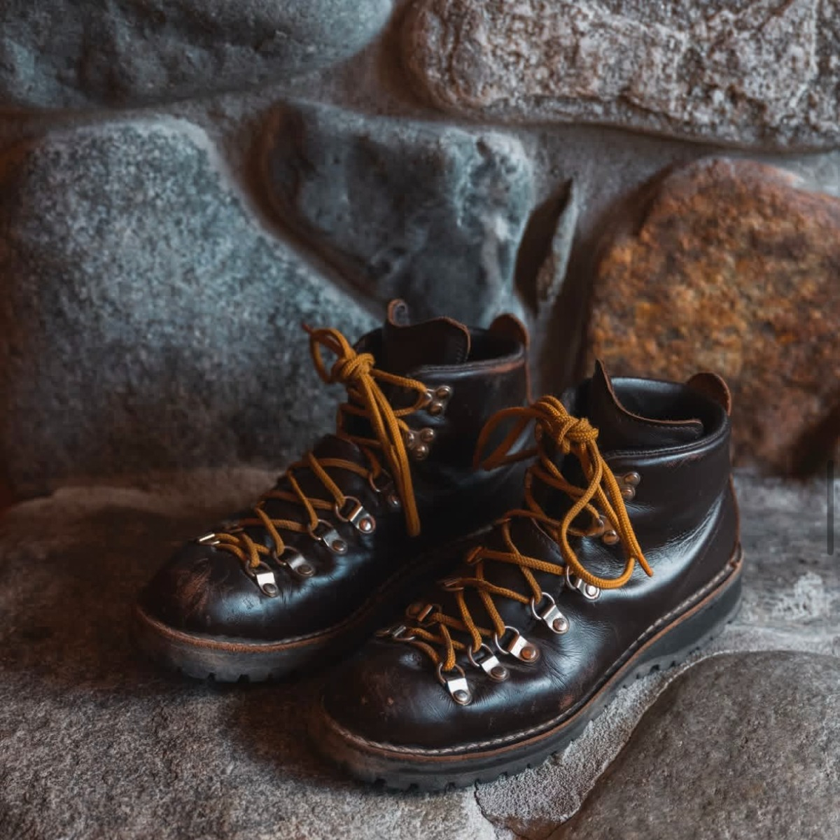 Danner Mountain Light GORE-TEX Boot Brown, Setting the Standard with GORE-TEX Liners Since 1979